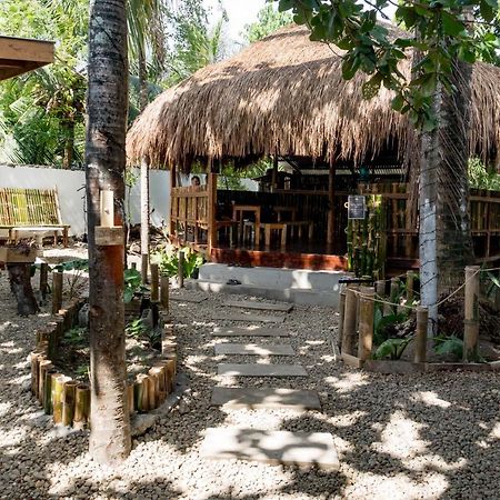 Crazy Bears Hostel Moalboal Extérieur photo